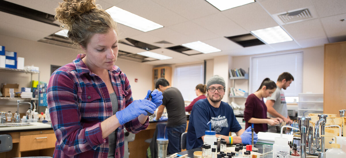 A student works on a chemistry lab inside a classroom at Western.