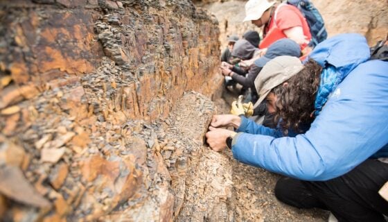 Students study the layers of a rock formation.