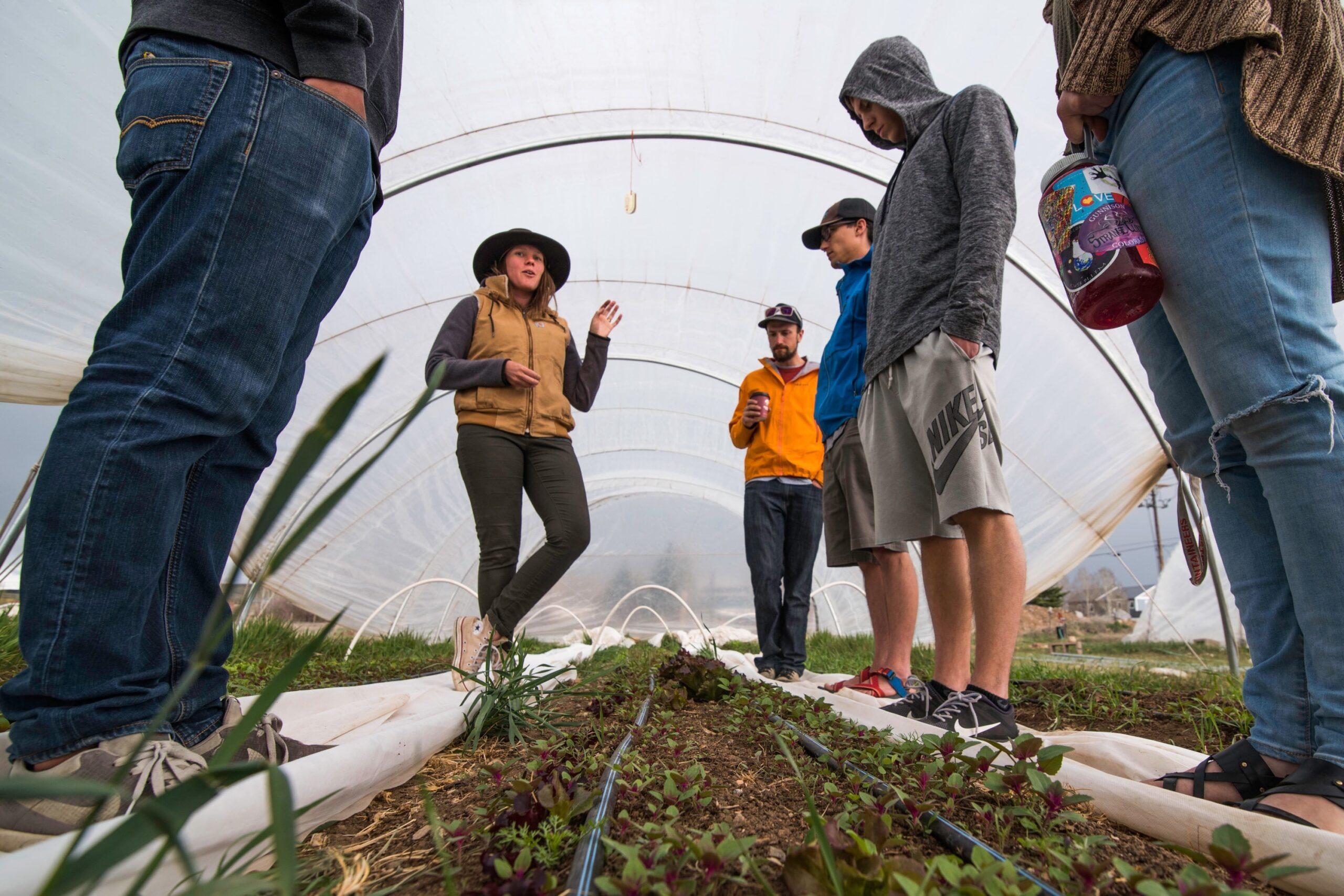 Sustainability Coalition