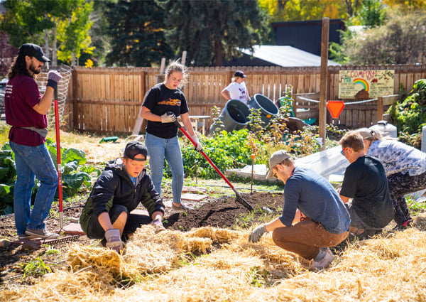 Several students gardening together