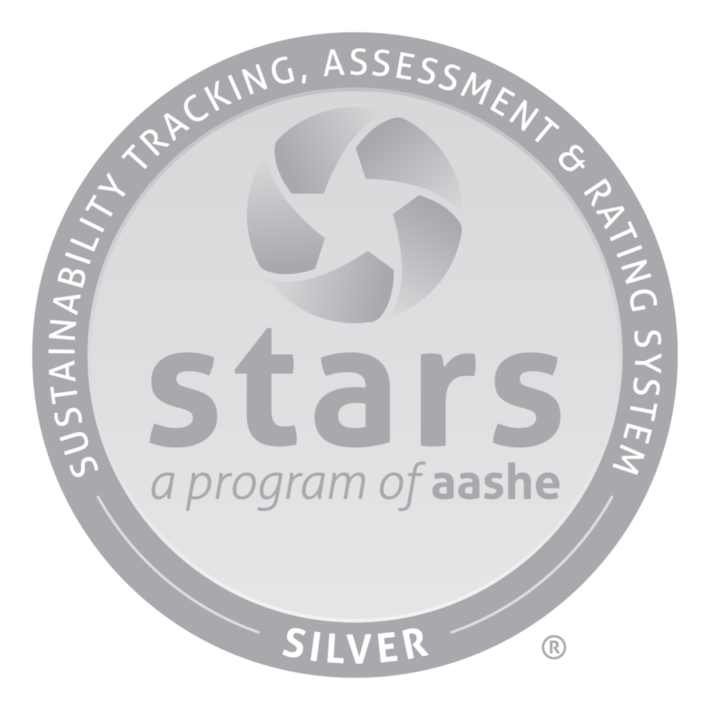 STARS logo (silver)