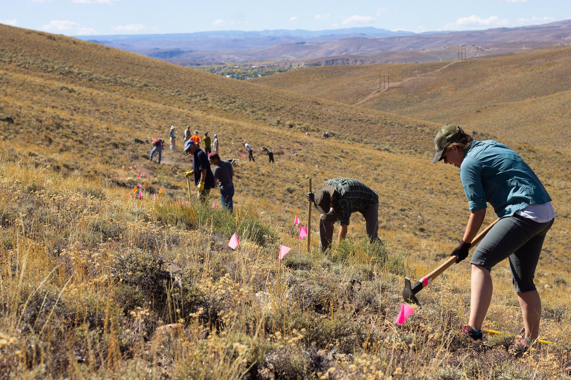 Volunteers cut a new trail on the public lands day