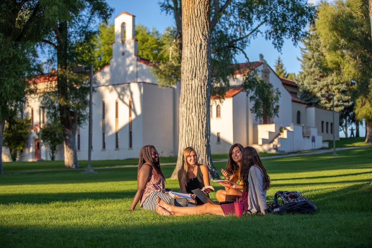 study tips for college freshman: students on campus green