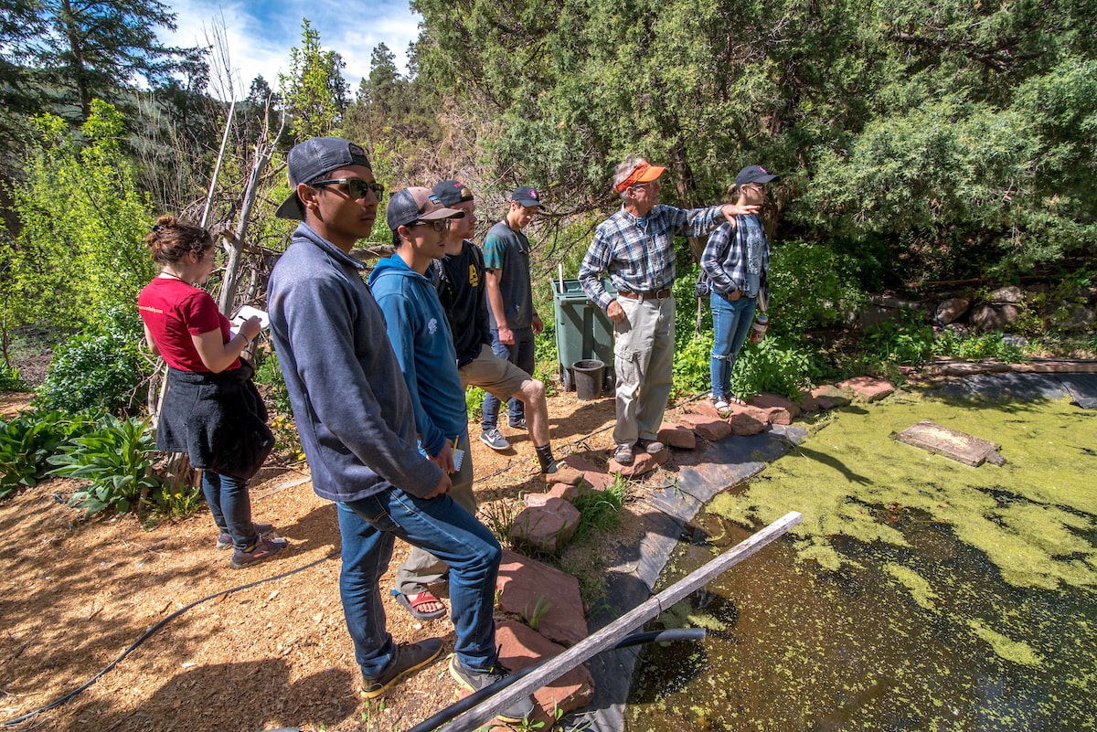 is environmental science a good major: professor talking to students by a pond