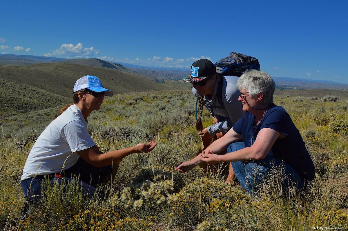 students learning in outdoor course by mountains