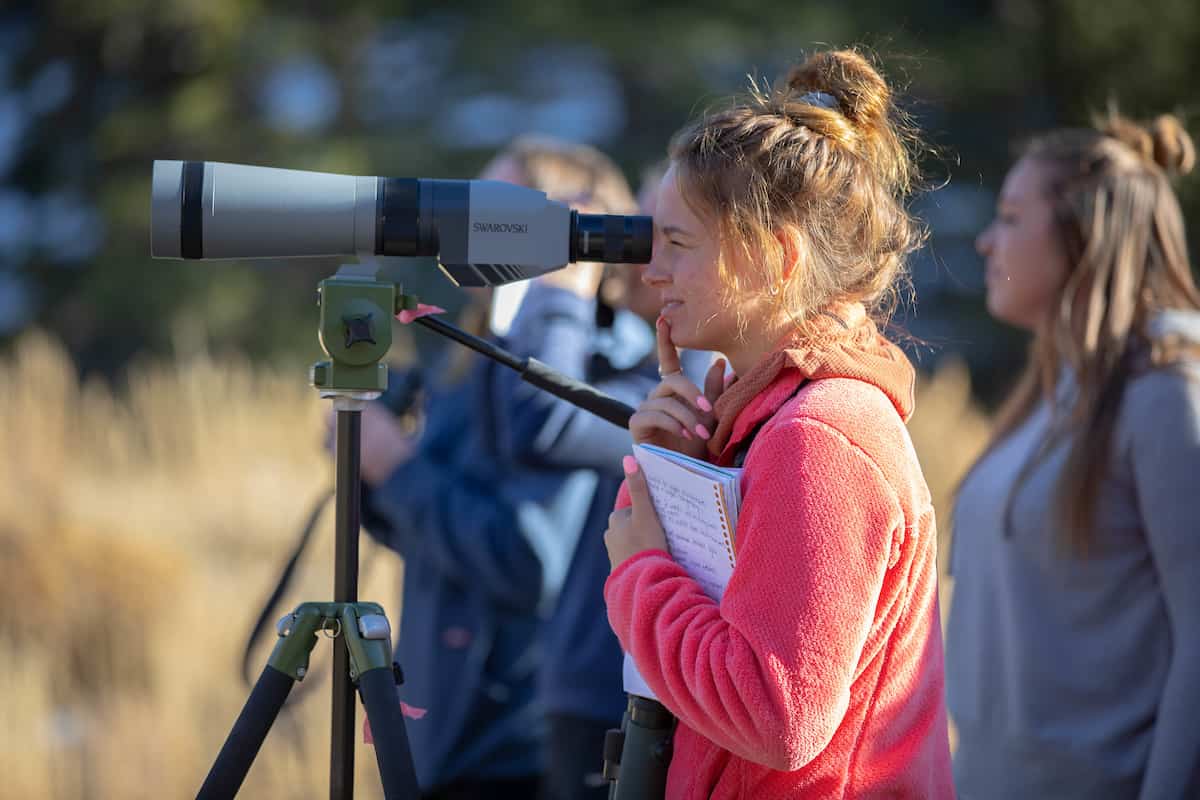 Colleges with accelerated degree programs: Student watching big horn sheep through telescope