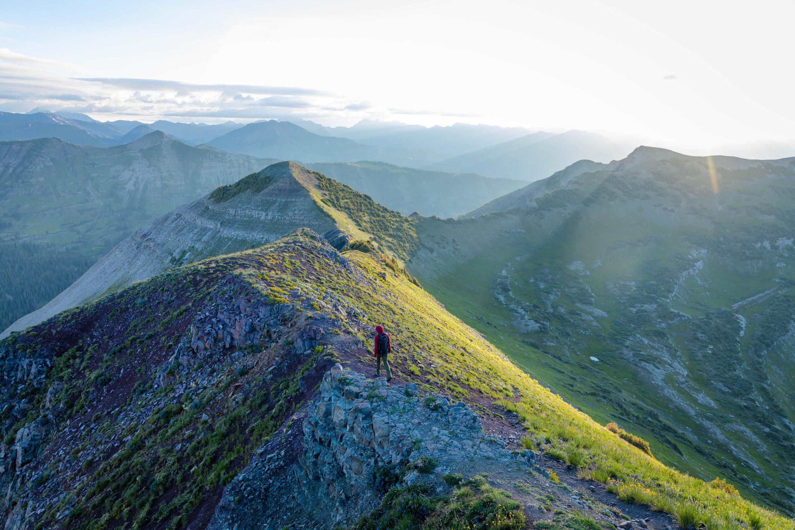 A person hiking on a vibrant, grassy hillside in the mountains