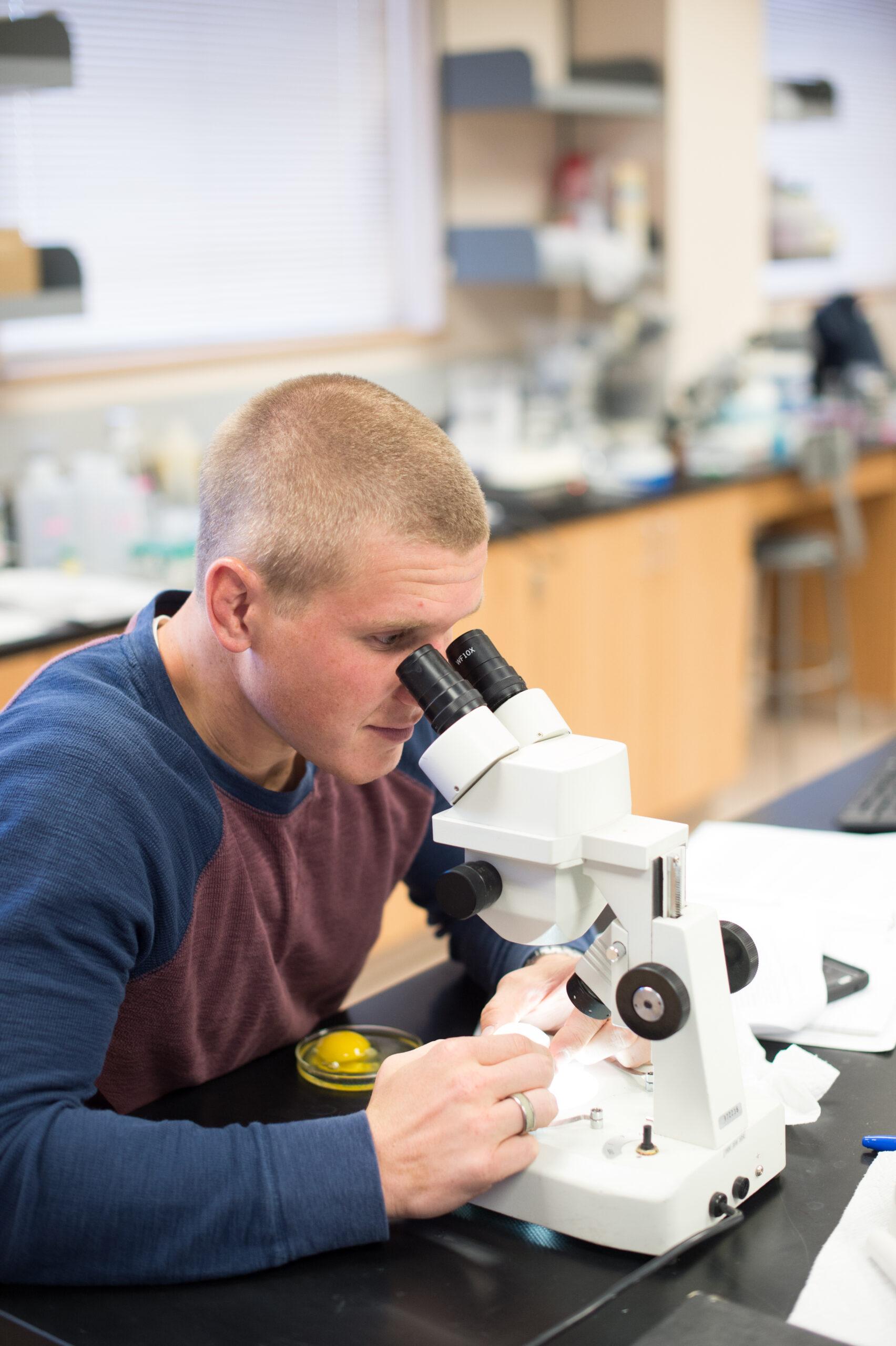 A student looking through a microscope during a biology lab.