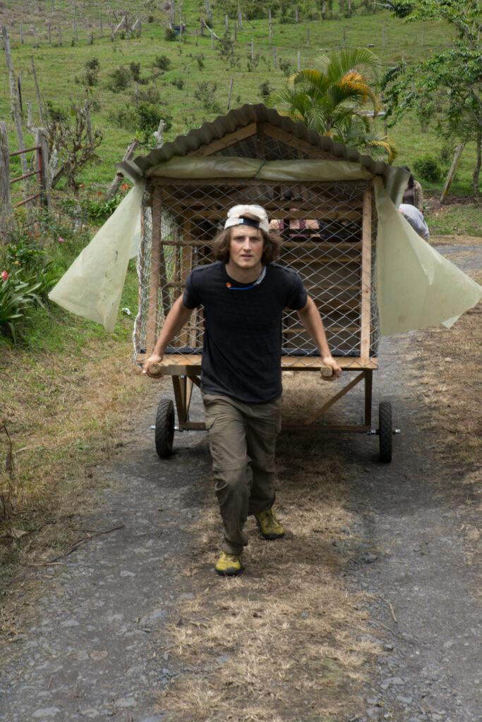 Students build mobile enclosures that could be used to keep chickens and rabbits safe 