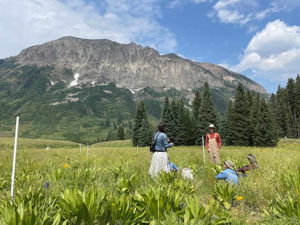 People stand in a green meadow below Gothic Mountain in Gothic, Colorado, on a sunny day.