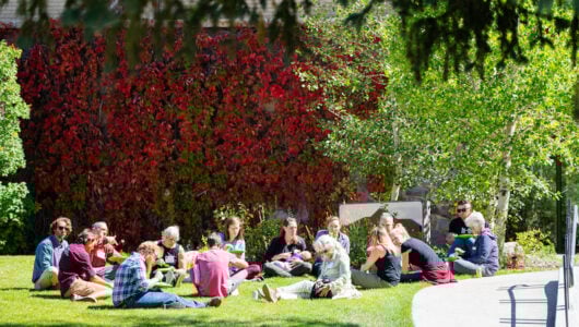 A group of students attend an outdoor class.