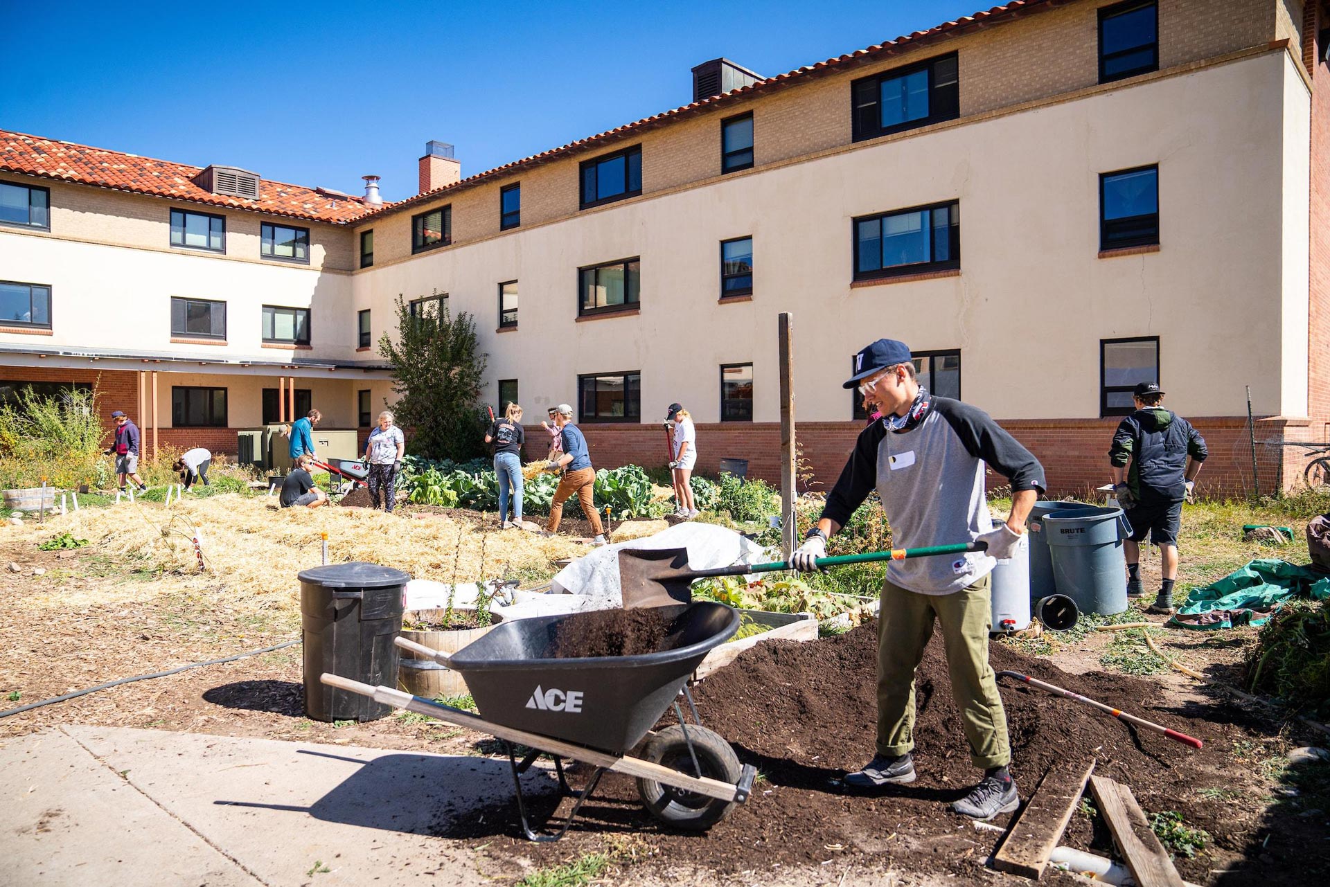 A student dumps soil into a wheel barrow in the Chipeta Garden.