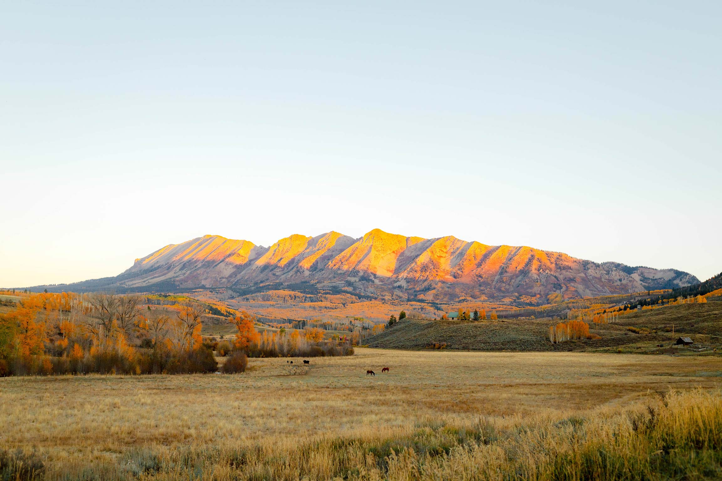 A bright fall landscape in Gunnison, Colorado, captured in 2025, showcasing golden and orange aspens glowing across the valley beneath rugged mountain peaks.