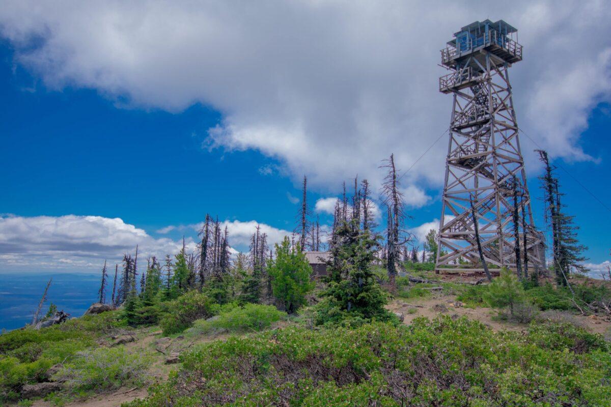 Teaching into the Firetower