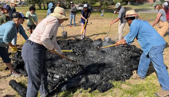 A team works on creating biochar.