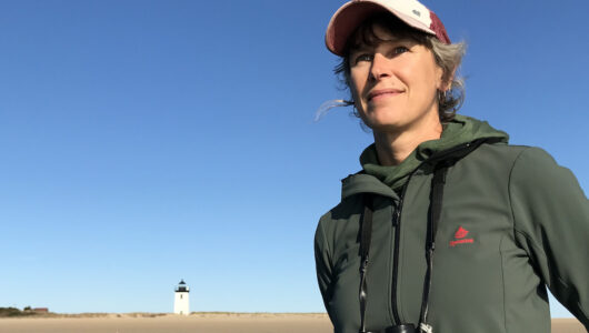 Elizabeth Bradfield stands in front of a bay with binoculars.