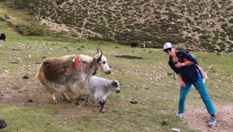 Christina Buchanan poses with yaks on a hill in the Himalayas.