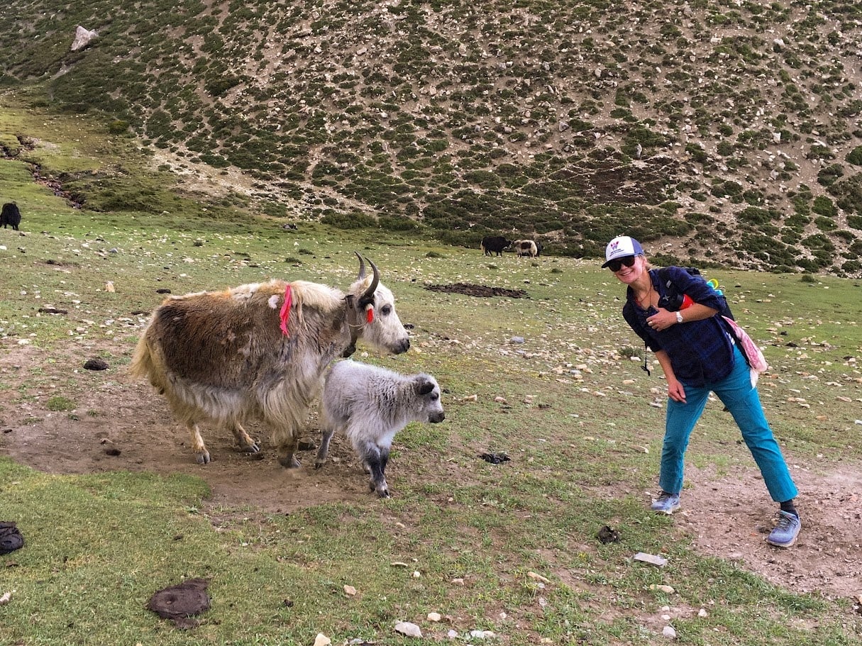 Christina Buchanan poses with yaks on a hill in the Himalayas.