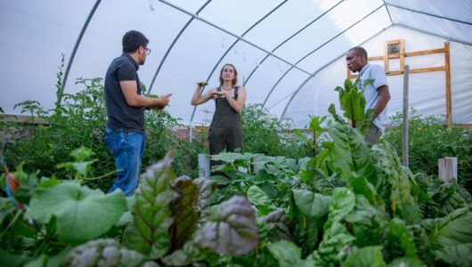 Western’s Clark School wins grant to help add value to internships