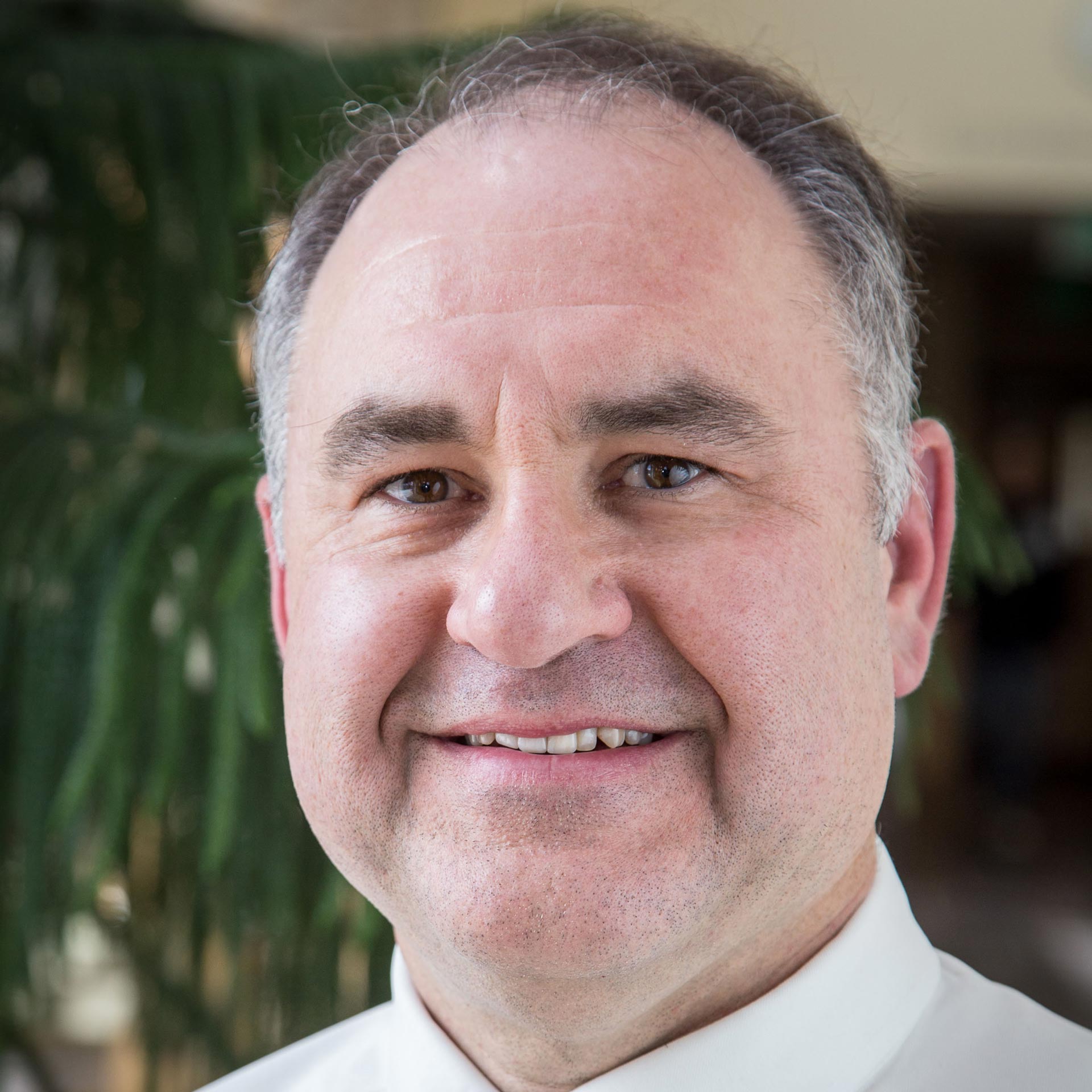 David J. Plante PhD