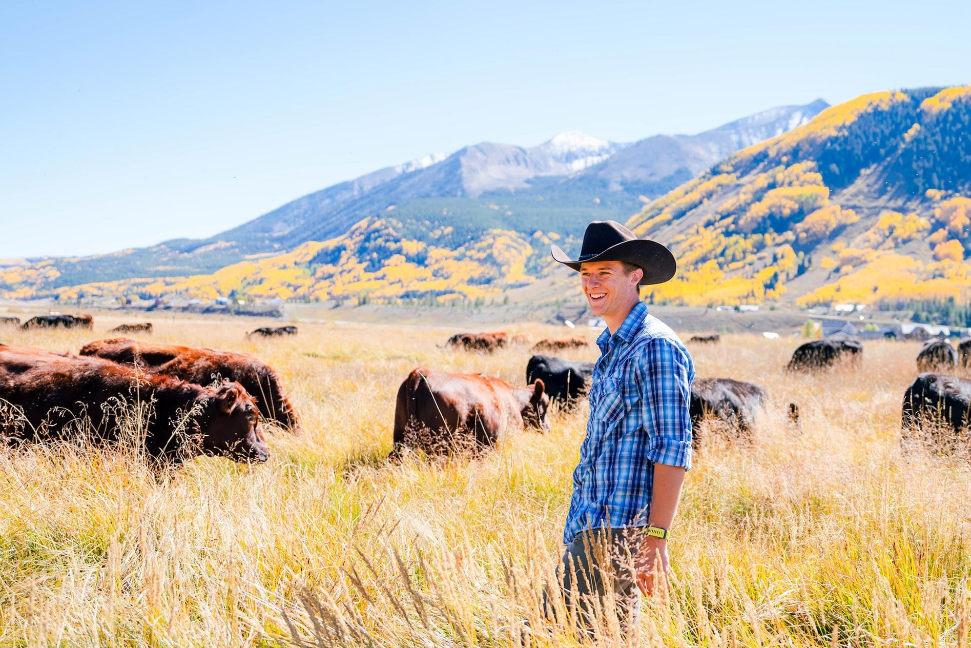 A graduate student wearing a cowboy hat smiles as he stands on Verzuh Ranch wetlands with cattle and Whetstone Mountain behind him.