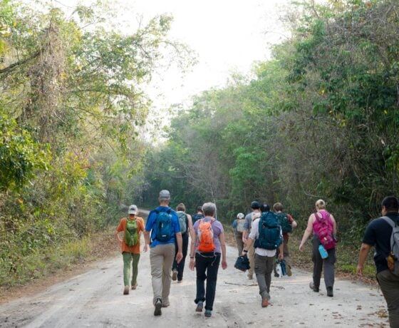 The group of students, archeaologists and visitors affiliated with Western start the hike up to the Medicine Trail Hinterland Communities Archaeological Site.