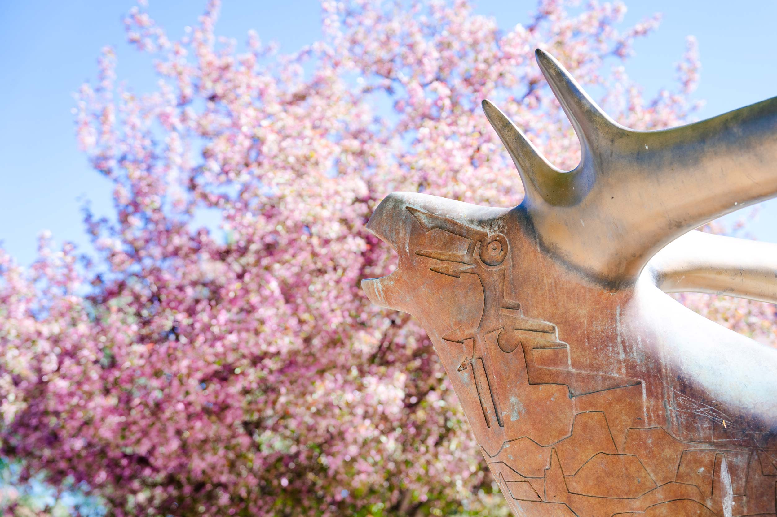 The Elk statue with crab apple blooms behind.