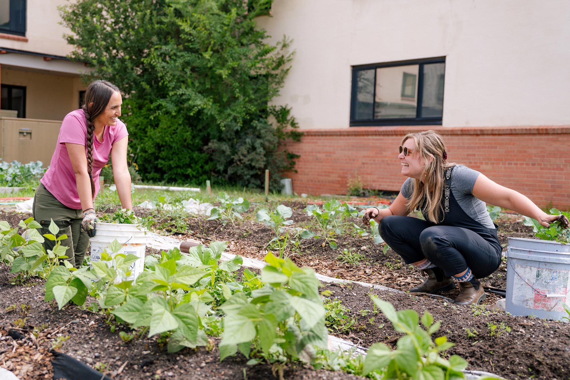 Two MEM students smile at each other as they weed the Chipeta Garden.