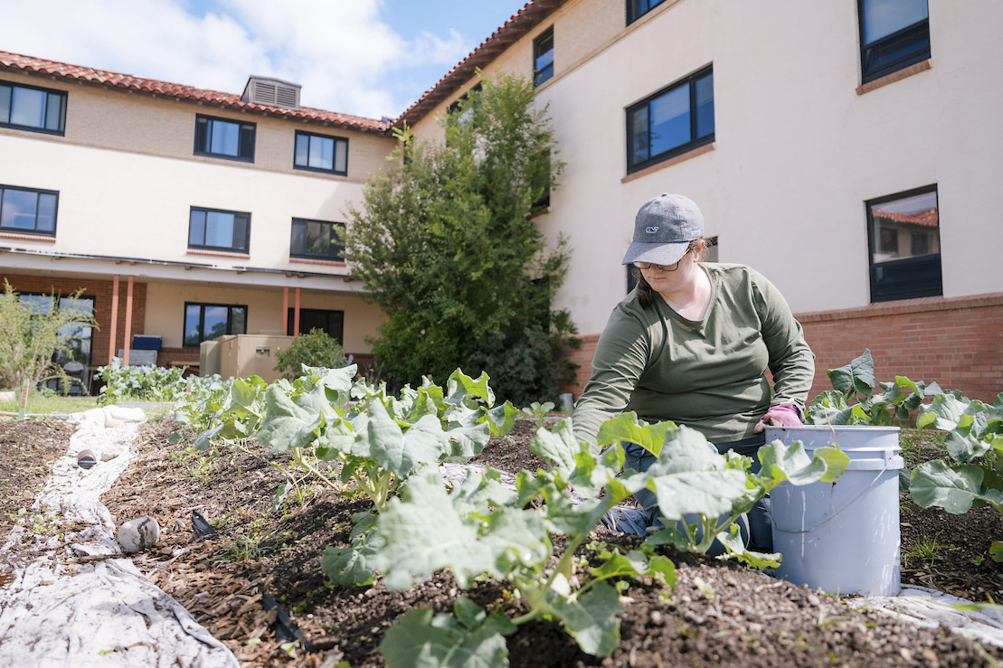 A MEM student weeds the Chipeta Garden. Chipeta Apartments can be seen in the background.