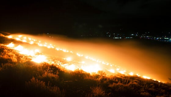 Photo of the burning W taken standing just above the top corner of it on W Mountain.