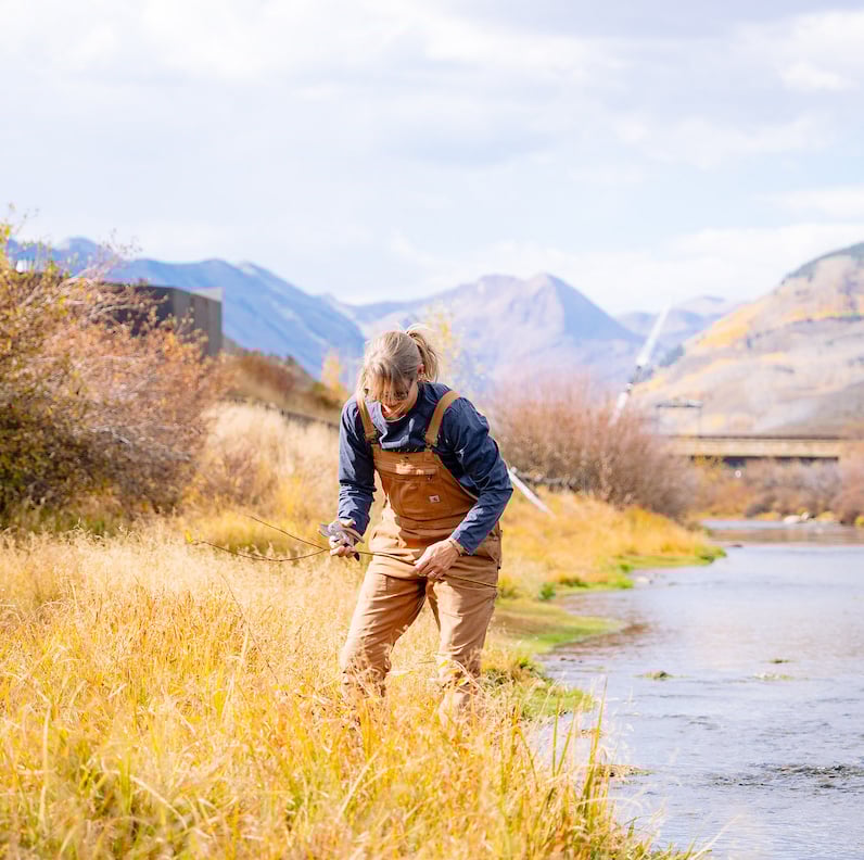 A volunteer collects willow reeds along the streambank of the Slate River on Verzuh Ranch.