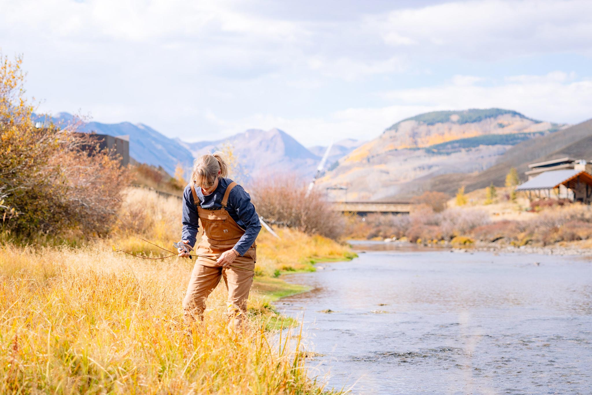 A volunteer collects willow reeds along the streambank of the Slate River on Verzuh Ranch.