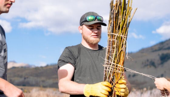 A student holds a bundle of willows as another student wraps cord around it.
