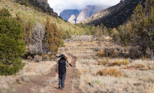 Graduate student, Cody Hinkley, glasses for big horn sheep while standing on the Painted Wall Overlook in the Black Canyon of the Gunnison National Park.