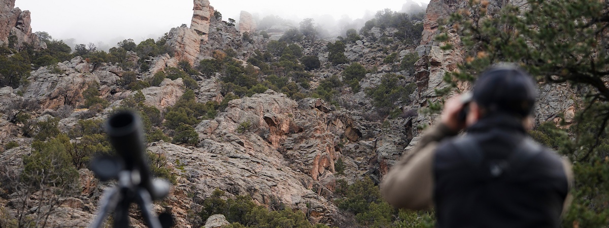 Graduate student, Cody Hinkley, glasses for big horn sheep from the Red Rock Canyon Trail in the Black Canyon of the Gunnison National Park.