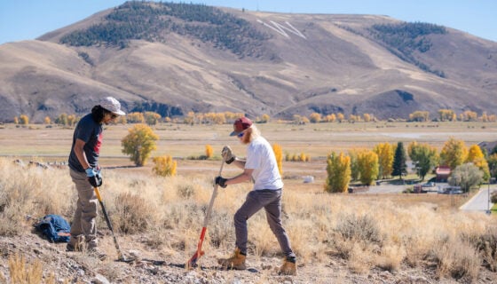 2 students dig a hole for a sagebrush transplant with w mountain in the background