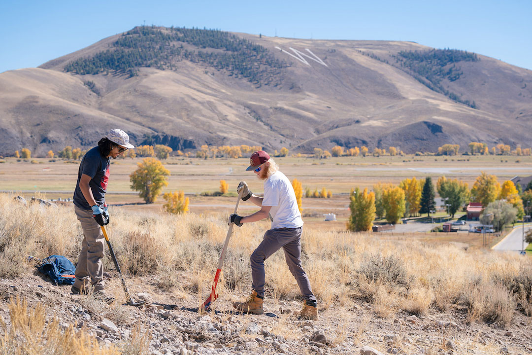 2 students dig a hole for a sagebrush transplant with w mountain in the background