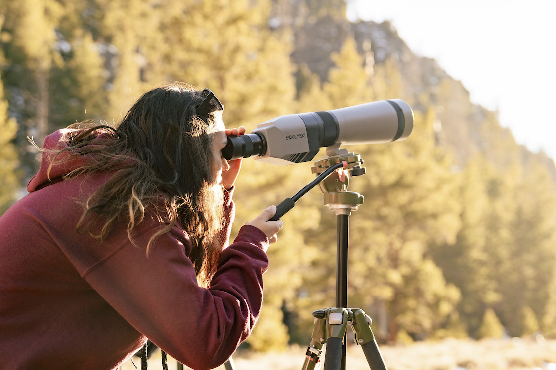 A student looks through a scope on a tripod at golden hour. Pine trees and parts of Taylor Canyon can be seen in the background.