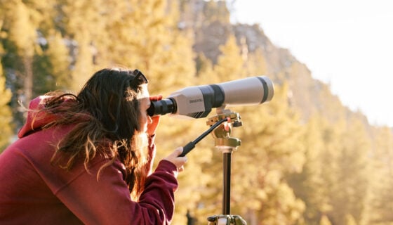A student looks through a scope on a tripod at golden hour. Pine trees and parts of Taylor Canyon can be seen in the background.