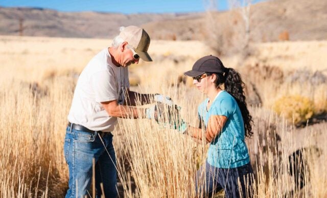 A student passes a rock to Pat Magee as they build a beaver dam analog structure.