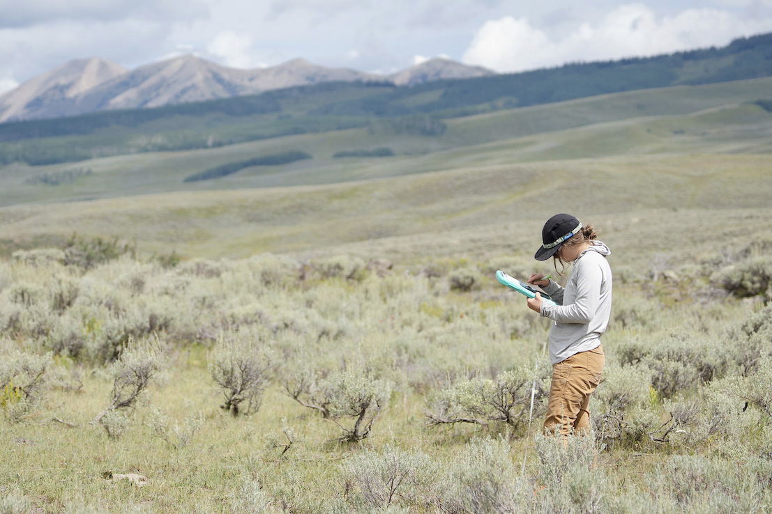 MSE student Phoebe Roberts works on a plant survey at one of the sights for her graduate project.