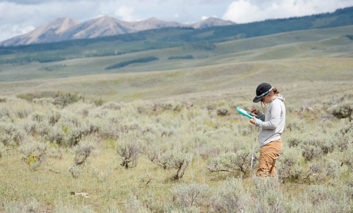 MSE student Phoebe Roberts works on a plant survey at one of the sights for her graduate project.