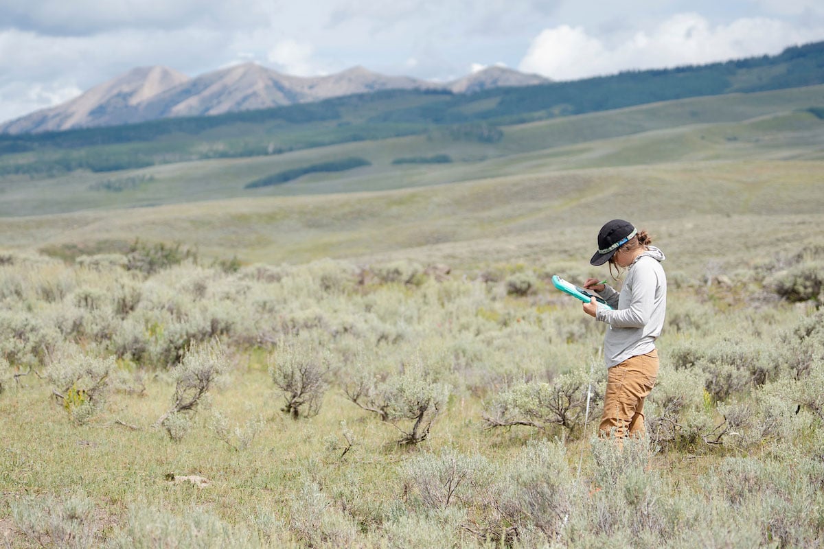 MSE student Phoebe Roberts works on a plant survey at one of the sights for her graduate project.
