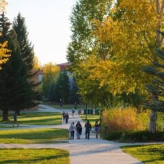 horizontal photo of the fall colos students are stadning in the foreground facing towards the camera walking along the bushes and trees taht have changed colors for fall season.