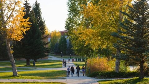 horizontal photo of the fall colos students are stadning in the foreground facing towards the camera walking along the bushes and trees taht have changed colors for fall season.