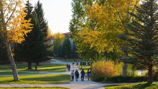 horizontal photo of the fall colos students are stadning in the foreground facing towards the camera walking along the bushes and trees taht have changed colors for fall season.