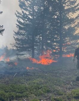 Bridging the Gap: Western Student Earns Fulbright to Study Wildfire Science in Australia