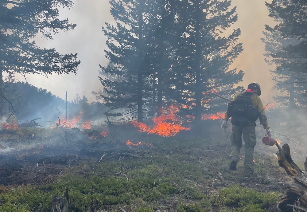 Dalton working at a forest fire.
