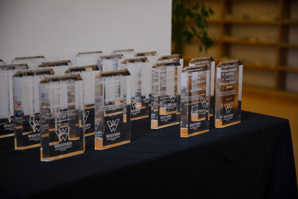 A photo of the awards on a table at the Alumni Awards for Excellence.