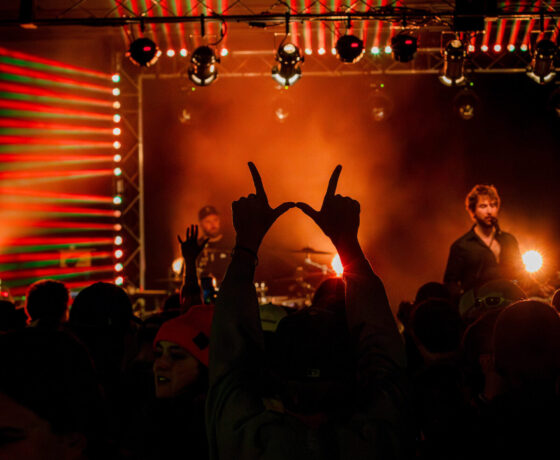 A silhouette of hands in the shape of a W at the Springfest concert.